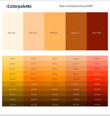 Color contrasts are the colors when combined with any from light orange to dark orange, the collection gives a good idea to the graphic designers what color to. 150 Latest Color Schemes With Peach Orange Color Tone Combinations 2021 Icolorpalette