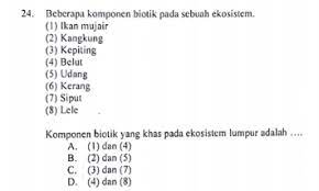 Soal ipa kelas 10 smk gejala alam biotik dan abiotik. Contoh Soal Materi Gejala Alam Biotik Dan Abiotik Jawabanku Id