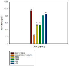 Image result for Multidentia sp. A