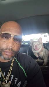 Today was a good day for @ouilovefrenchies👍 Meeting more good people  @wharfmiami @leanbullz_julian @cjpuppys @la_maison_du_frenchie Just to name  a few! BOLO keeps showing and proving city to city, ...