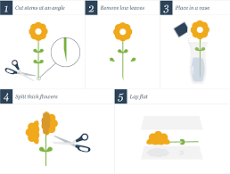 In fact, when i decided that i wanted to press my flowers, i didn't even a frost was coming and i had to move quickly, so i hastily picked a basketful of blossoms, arranged them the number of layers depends on how many flowers you have to press. How To Press Flowers 4 Ways To Press Flowers Step By Step