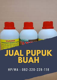 Terbaik 082 220 228 118 Pupuk Untuk Pohon Mangga Bandung Pupuk Perangsang Buah Mangga Buah Mangga Kesuburan