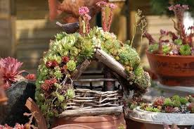 Dachbegrunung Ein Grunes Dach Furs Vogelhaus Hauswurz Dachwurz Sempervivum