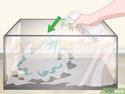 How To Clean An Old Fish Tank: 12 Steps (With Pictures) - Wikihow
