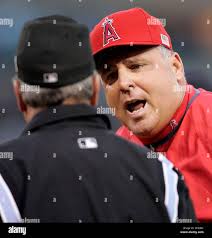 Baseball umpire and manager hi-res stock photography and images