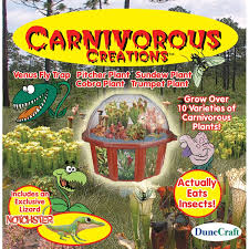 Your terrarium needs to trap moisture and retain it. Carnivorous Creations Dome Terrarium Plant Kit Educational Toys Planet