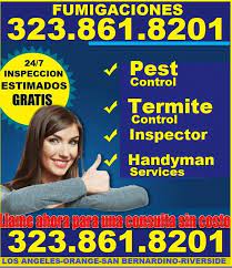 Pest control and termite leader. 25 Best Pest Control Service Near Los Angeles California Facebook Last Updated Apr 2021