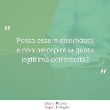 Tre ong straniere hanno rifiutato l'invito della commissione difesa del senato a partecipare a un'audizione per chiarire chi siano i loro finanziatori. Posso Essere Diseredato Avvocato Barbara D Angelo