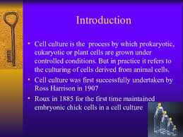 Ppt 14265 Basics Of Cell Culture Samia Mehraj Academia Edu