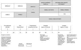 Tabel periodic al metodelor de vizualizare. Jurnalul Oficial L 247 2019