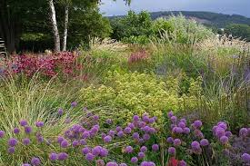 Afbeeldingsresultaat voor piet oudolf sweden