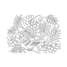 Vector Of Art Rowan Tree Isolated Over White Rowan Tree Illustration Vector Illustration
