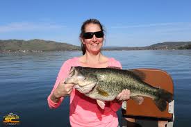 Wildlife is abundant from bald eagles to river otters. Sc2 Outdoors Clear Lake Largemouth Bass Fishing Kristy S