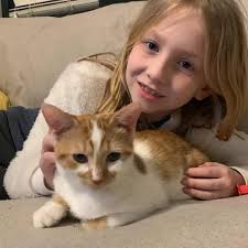 Renegade Paws Rescue introduces new foster pup Bob-O for adoption