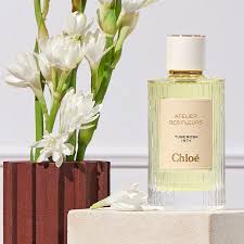 Image result for Chloé réédition