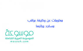معلومات عن وظيفة مراقب مساجد وراتبها موسوعة