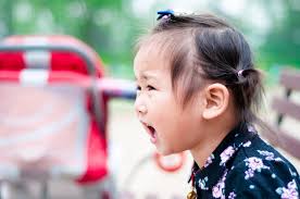 D5 b5 „kann und muss man kinder schlagen? Wenn Kinder Uns Beschimpfen Eine Kleine Ubersetzungshilfe Nora Imlau Autorin Journalistin Und Speakerin Fur Familienthemen