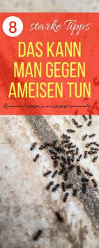 Hier kann man bereits vorsorge treffen, und ameisenhügel, die allzu nahe am haus liegen, von fachleuten. Hausmittel Gegen Ameisen 7 Massnahmen Die Wirklich Helfen Ameisen Im Haus Ameisen Im Haus Bekampfen Ameisen