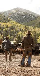 Pin On Yellowstone Tv Show