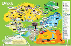 Toronto Zoo Map Example Of Navigation Toronto Zoo Zoo Map Zoo