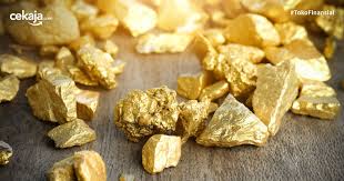 Bahkan saking kayanya ada sarang rayap yang mengandung serbuk emas. Ternyata Ini Logam Paling Berharga Dan Mahal Selain Emas