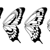 Download butterfly wings cliparts and use any clip art,coloring,png graphics in your website, document or presentation. 1