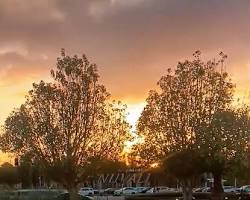 enjoying simple life moments aesthetic، من إنشاء الذكاء الاصطناعي