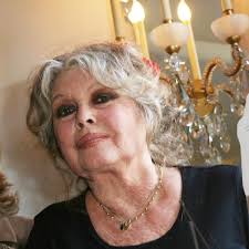 See more ideas about brigitte bardot, brigitte, bardot. Brigitte Bardot Ce Qu Elle Souhaite Quand Elle Sera Morte Femme Actuelle Le Mag