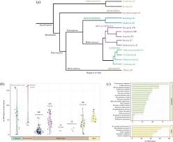 Genome Wide Analyses Of The Bhlh Superfamily In Crustaceans