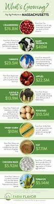 #1 best colleges for nursing in massachusetts. Massachusetts Top 10 Ag Products Infographic Farm Flavor