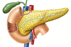 Some patients describe pain starting in the middle abdomen and radiating into the back. Can Pancreatic Patients Have A Pancreas Transplant