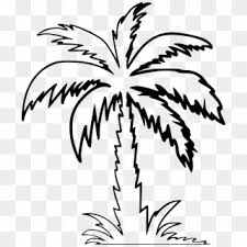But you can just barely make out a palm tree back there. Palm Png Transparent For Free Download Page 4 Pngfind