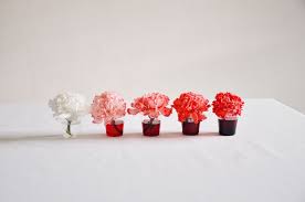 She Decided Use White Carnations Dyed With Food Coloring As Her Medium I See Red White Flowers Portrait