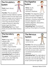 Systems Of The Human Body Montessori Printable Medical School Studying Teaching Body Systems Nursing School Survival