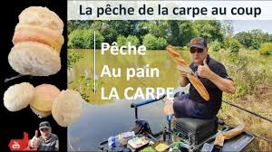 Pratique De Peche A La Carpe Au Pain Youtube