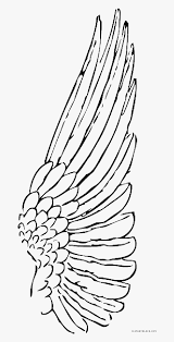 Drawing should be fun and relaxing. Feather Clipart Animal Feather Animal Transparent Free Angel Wings Side View Drawing Hd Png Download Transparent Png Image Pngitem