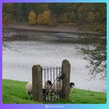 Anne Margaret Eley added a new photo.