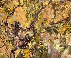 Image result for Gerardiina angolensis