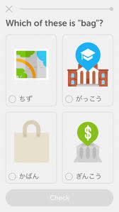 I made nihongo charts for learning japanese. Duolingo Japanese Review Team Japanese