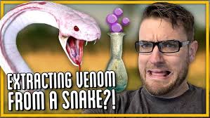 How I Rebuilt 1 Year After a Fire Destroyed Everything