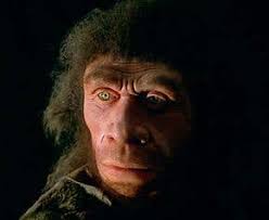 Neanderthals and humans lived side by side | New Scientist