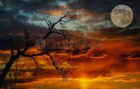 Beautiful places beautiful pictures beautiful life beautiful moon images good night beautiful image nature shoot the moon moon photography photography tips. A Partially Full Moon During A Beautiful Sunset Stock Photo Crushpixel