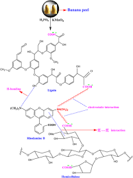 Its structural stability makes it highly toxic and resistant to biodegradation. Adsorption Of Rhodamine B Dye From Aqueous Solution Onto Acid Treated Banana Peel Response Surface Methodology Kinetics And Isotherm Studies
