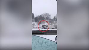 Drivers plowing through thursday's snowstorm got quite the surprise on 'no big deal, just a camel on 309 in a snowstorm,' vogel tweeted. Us Weather Camel Spotted On Side Of Highway During Snow Storm In Pennsylvania The Independent The Independent