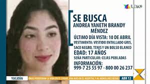 ¿La viste? Se solicita tu ayuda para encontrar a Andrea Yaneth Brandy  Méndez, mira aquí sus señas particulares.