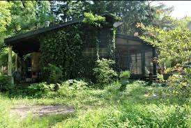 Where S Walden Lakeside Cottage 4 Guests 2 Bedrooms 3 Beds 1 Bath 135 Per Night If Henry David Thorea Lake House Rentals Lakeside Cottage Renting A House