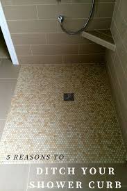 5 Compelling Reasons You Need To Eliminate Your Shower Pan Threshold Wet Room Shower Diy Bathroom Remodel Bathroom Remodel Shower