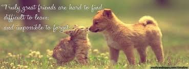 And like dog friendship, cat friendship is pure; Kitten Friendship Quotes Quotesgram