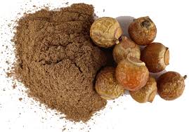 Image result for à¤¬à¤¹à¥à¥à¤¾ (beleric myrobalan
