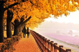 Kết quả hình ảnh cho mùa thu